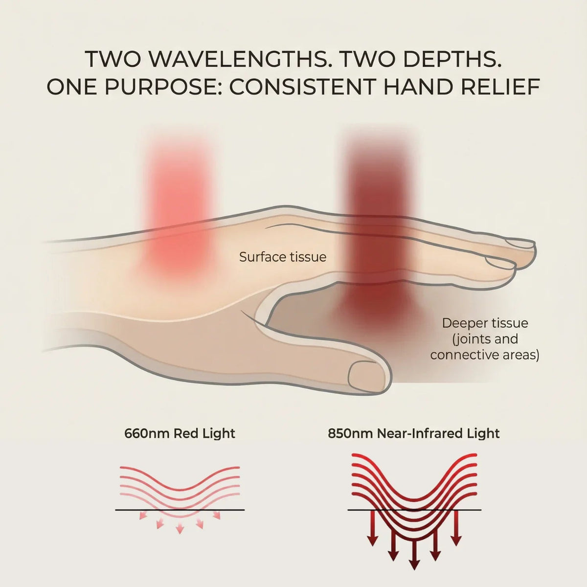 Head, Hands & Feet