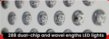 TimeLight Elevate Red Light Therapy Panel | 9-Wavelength Red & Near-Infrared Therapy System