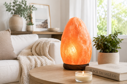 Black Tai Salt Co. Himalayan Salt Lamp – A Majestic Statement of Natural Beauty